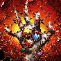 Puzzles & Survival Vouchers,Hero,Diamond... By ID