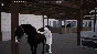 🚀 Unbridled: That Horse Game 🤖 Steam Gift AUTO