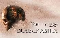 The Dark Pictures Anthology House of Ashes (steam key)