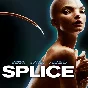 ⭐️Splice / Steam Key / RU+Global