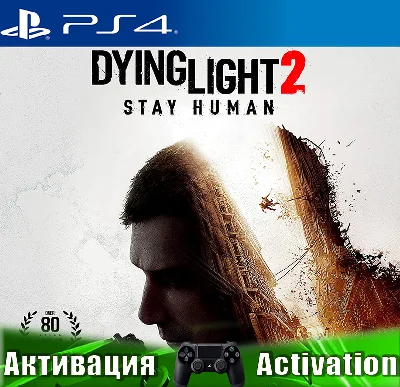 🎮Dying Light 2 Stay Human (PS4/RUS) Активация✅