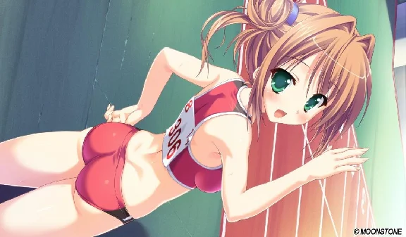⭐ Princess Evangile W Happiness Steam Edition Steam Key