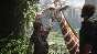 ⭐ The Last of Us Part 1 PC Steam Key 🔑 EU+US