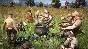 Black Desert Online Steam Key