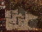 ⭐ Konung 2 Steam Key 🔑 GLOBAL