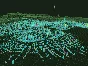 ⭐ AdvertCity Steam Key 🔑 GLOBAL