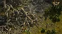 Pathfinder: Kingmaker Imperial Edition Steam Key