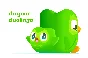 🦉Duolingo Super 12 months Subscription To Your Account