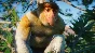 ⭐ Planet Zoo - Southeast Asia Animal Pack DLC Steam КЛЮ