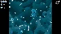 ⭐ Marimoth Steam КЛЮЧ 🔑 GLOBAL