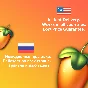🥭 FL STUDIO 2024 🥭  INSTANT DELIVERY [24 MONTHS]