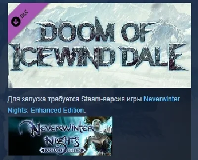 Neverwinter Nights Enhanced Edition Doom of Icewind Dal
