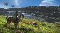 ⭐ Avatar: Frontiers of Pandora Gold Edition EU Ubisoft