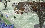 The Sims 2 Collection | To Your Own Account [Gifts]
