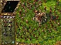 ✅ The Settlers 4: History Edition PC Ubisoft Account +M