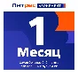 Litres.ru subscription - 1 month liters 3 books