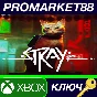 ⭐ Stray UK XBOX One / Xbox Series X|S / Windows 10 Key