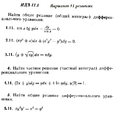 DHS 11.1 Option 11 Ryabushko