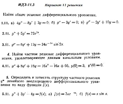 DHS 11.3 Option 11 Ryabushko