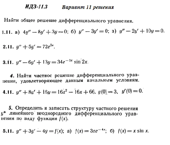 DHS 11.3 Option 11 Ryabushko