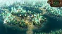 ⭐ Unicorn Overlord EU Xbox Series X|S Key 🔑EUROPE
