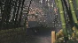 ⭐ Kunitsu-Gami: Path of the Goddess EU XBOX One / Xbox 