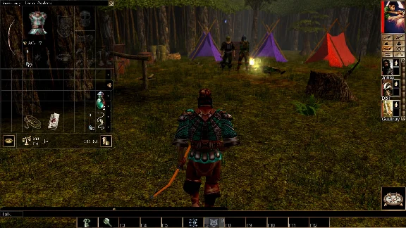 ⭐ Neverwinter Nights: Enhanced Edition - Wyvern Crown o