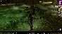 ⭐ Neverwinter Nights: Enhanced Edition - Wyvern Crown o