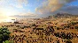 ⭐ A Total War Saga: TROY Limited Edition EU Epic Games 