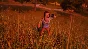 ⭐ Hello Neighbor EU PC Steam Key 🔑 EUROPE