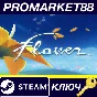 ⭐ Flower Steam КЛЮЧ 🔑 GLOBAL