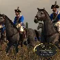 DLC Empire: Total War - Elite Units of the West / Steam