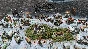 ⭐ Age of Mythology: Retold - Premium Upgrade DLC PC Ste