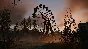 ✅S.T.A.L.K.E.R. 2: Heart of Chornobyl Deluxe Edition 🔑