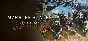 Monster Hunter Wilds PREMIUM + ALL DLC⚡Auto Steam Guard