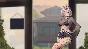 ⭐ Days with girlfriends : Kello&Cammy PC Steam Key 🔑GL