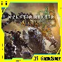 🔵 Monster Hunter Wilds ❗️ PS5/PS Турция 🔵