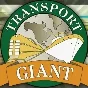 ⭐️Transport Giant / Steam Key / РФ+МИР