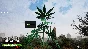 Drug Dealer Simulator (Steam Gift UA / KZ)