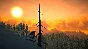 ✅ The Long Dark Epic Games Account NEW +MAIL🟢