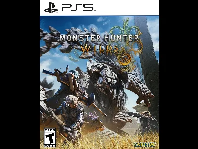 Monster Hunter Wilds(PS5) shared account Forever