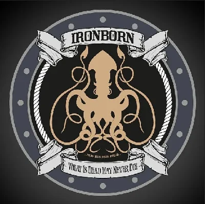 ⭐️IronBorn / Steam Key / РФ+МИР