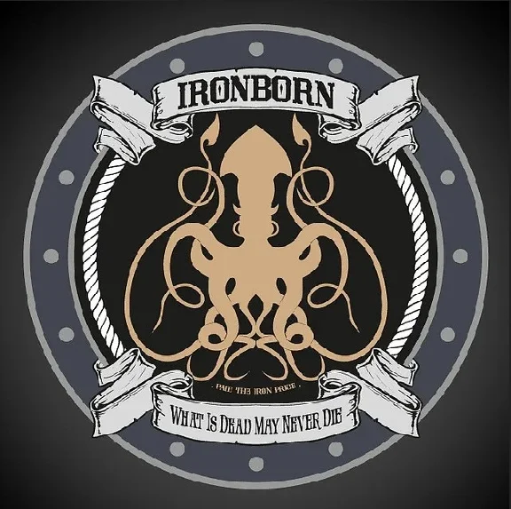 ⭐️IronBorn / Steam Key / РФ+МИР