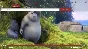 ☑️⭐MOV - HEVC Video Player Microsoft Store⭐☑️.
