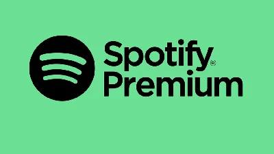 Spotify India -12 Months Gift card(Stockable)