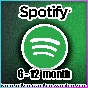 ✅6 - 12 МЕС.✅SPOTIFY PREMIUM✅РАБОТАЕТ В РФ🚀