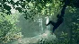 ⭐Ancestors: The Humankind Odyssey Steam КЛЮЧ 🔑GLOBAL