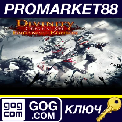 ⭐ Divinity: Original Sin Enhanced Edition EU GOG Key