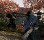 ⚔️🔥 Rise of the Ronin ┃ 🎁 Подарок в Steam
