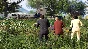 ✅ Grand Theft Auto V Enhanced PC Steam Account +MAIL🟢